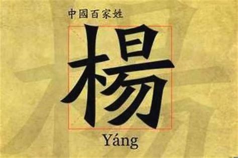 姓楊的名字